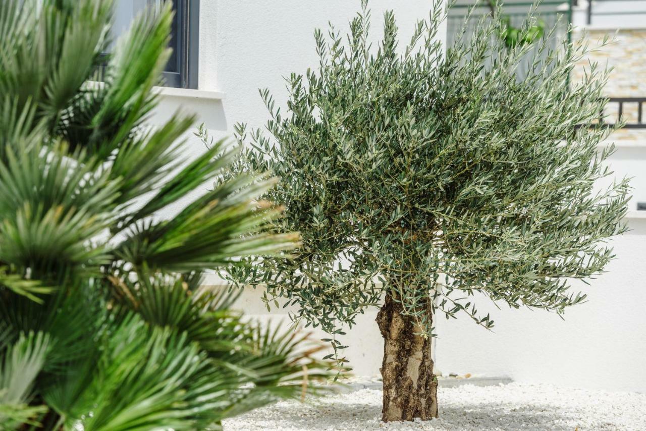 Apartments Villa Dalmatia Трогір Екстер'єр фото